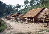 227Thailand- Hill tribes bij Chiang Rai.jpg